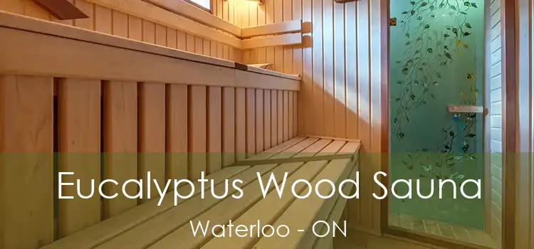  Eucalyptus Wood Sauna Waterloo - ON